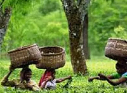 7Nights/8 Days Tawang Tour