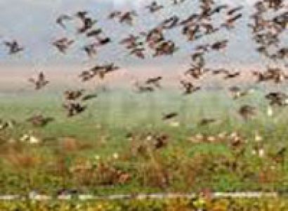 North East Wild Life Tour