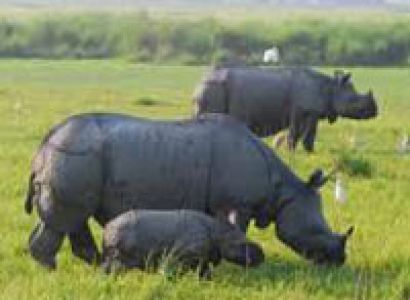 North East Natural Beauty and Wild Life Tour