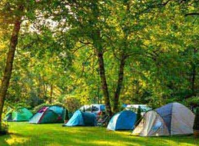 Camping, Paragliding & Trekking tour