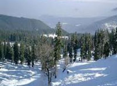 Kashmir Sojourn Tour