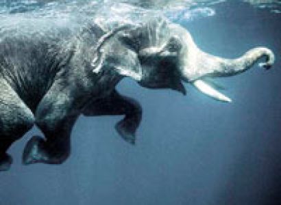 Island Paradise Tour