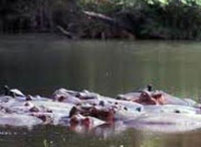 Nairobi - Amboseli - Tsavo West - Tsavo East - Mombasa Tour