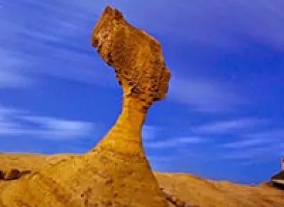 Taiwan Honeymoon Delight Package