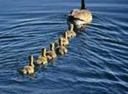 Kerala Special Tour Offer