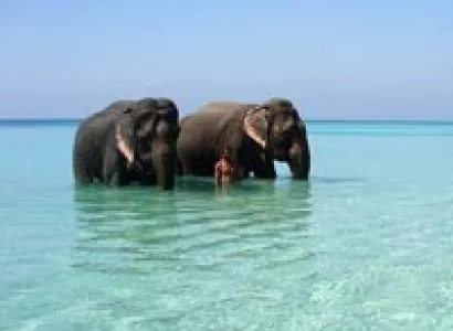 Mystic Andaman Tour