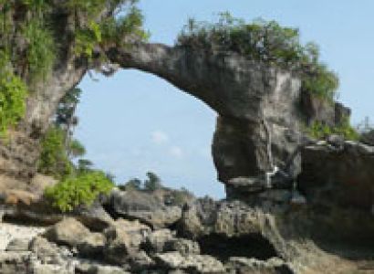 Andaman Group Tour Package