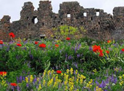 Amberd fortress - Saghmosavank - Haghpat-Sanahin - Odzun - Kobayr Tour