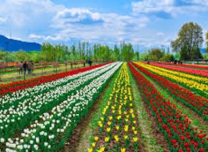 11 Nights 12 Days Kashmir Tulip Special Group Tour