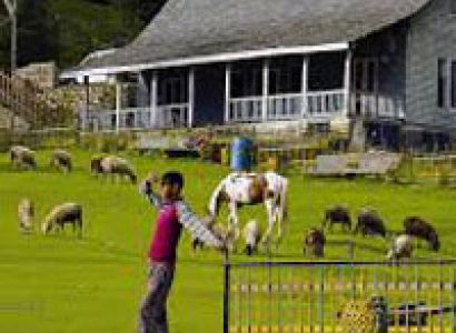 Holiday at Himachal Tour