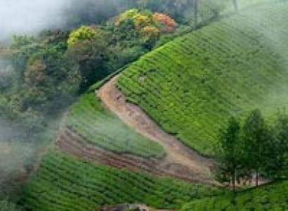 Munnar Tour Package