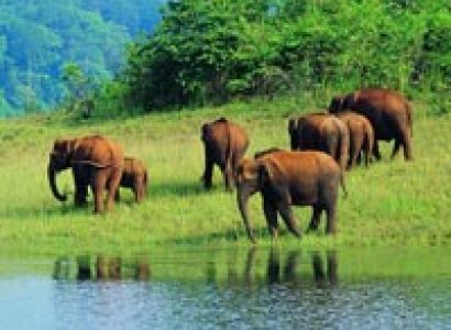 Thekkady Tour Package