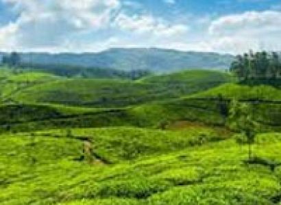 Wayanad Tour