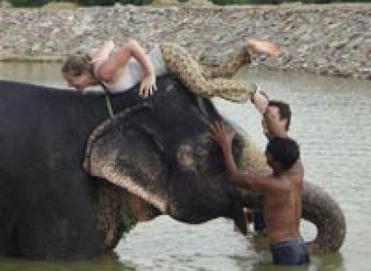 Elephant Riding In Village Tour