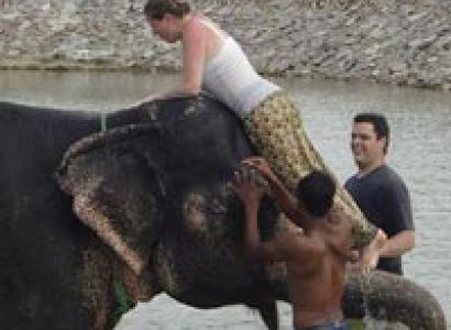 Elephant Village Tour