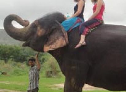 Elephant safari in Sanctuary Tour