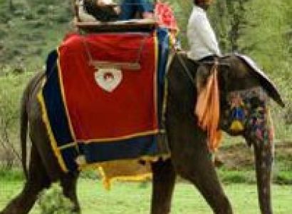 Elephant safari in Jungle Tour