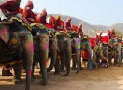 Elephant Safari Tour