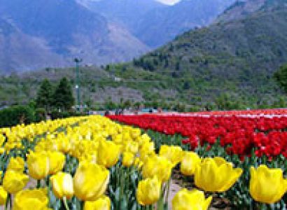 Best of Kashmir Tour