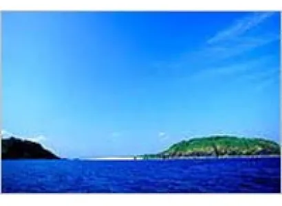 Best Cove Beach Tour