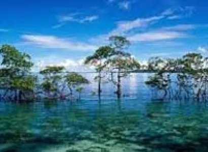 Mayabunder Tour Package