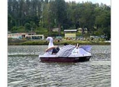 Yercaud - Tamilnadu Hill Station