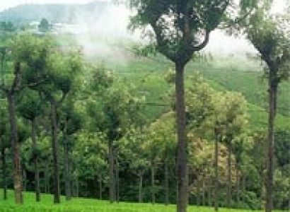 Ooty Packages - 1 Night and 2 Days