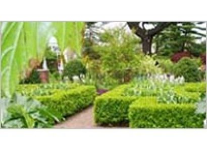 Ooty Packages - 2 Night and 3 Days