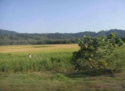 Guwahati-Shillong-Kaziranga-Tezpur-Guwahati Tour