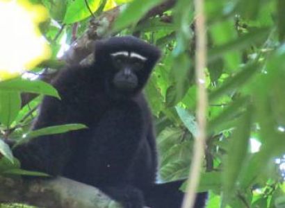 Guwahati - Shillong - Manas - Guwahati Tour