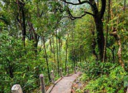 Guwahati - Shillong - Cherrapunjee - Guwahati Tour