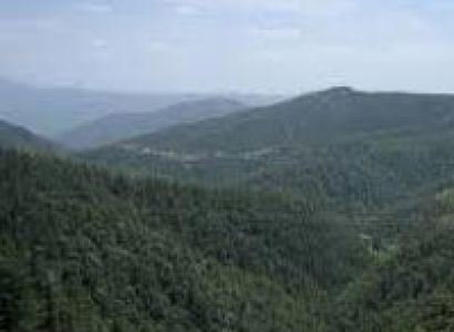 Himachal Tour Package