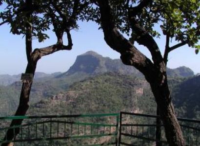 Queen of Satpura - I Tour