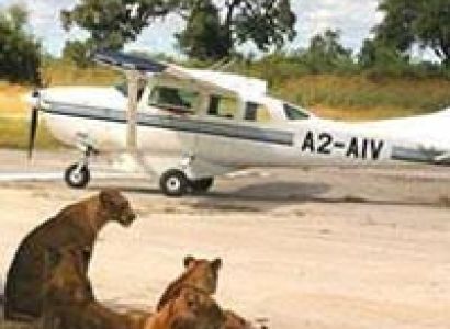 7 Days Uganda Flying Safari, Murchison Falls & Semliki Tour