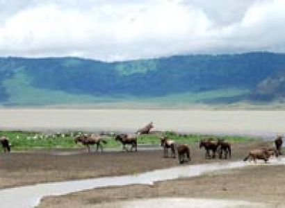 14-Day Uganda & Tanzania Combined Luxury Safari Tour