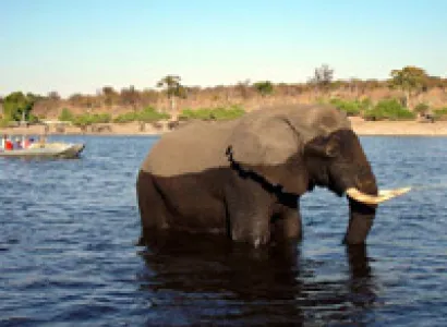 Two Days And One Night Tour - Victoria Falls Only