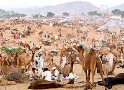 Golden Triangle Tour With Pushkar