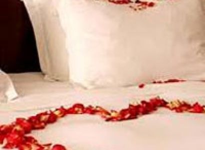 Special Manali Honeymoon Package Image