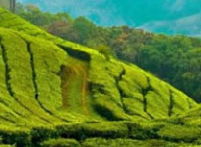 Kerala Kanyakumari 13 Days Tour