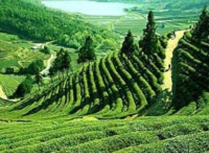 Darjeeling - The Queen of Hills for 02 Nights & 03 Days Tour