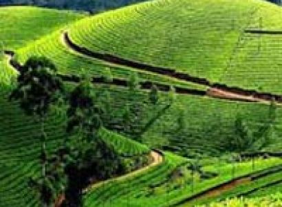 The Delights of Himalaya 04 Night / 05 Days Tour