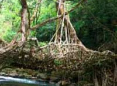 Gorgeous Madhya Pradesh - Pachmarhi - Kanha - Jabalpur Tour