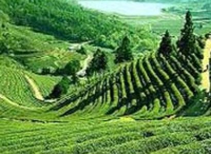 Darjeeling Gangtok Tour