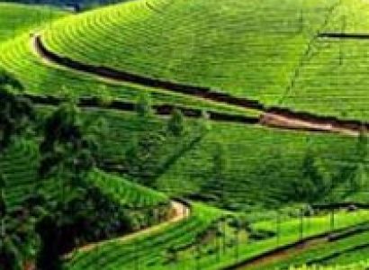Beautiful Darjeeling Tour