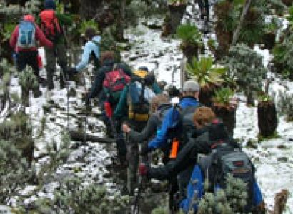 Kibale - Rwenzori Mountains Tour
