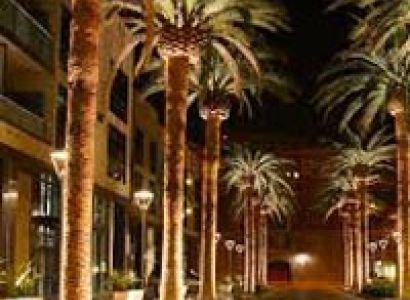 Paradise of Americas Tour