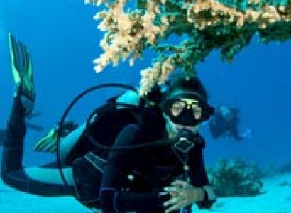 Group Luxury Packages - ( 4N / 3D )