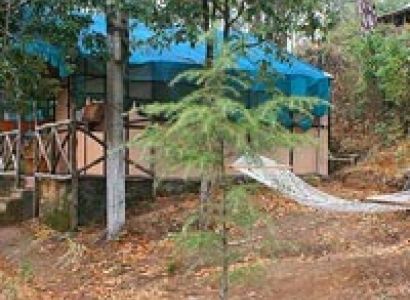 Jungle Camp (Outdoor adventure activity)