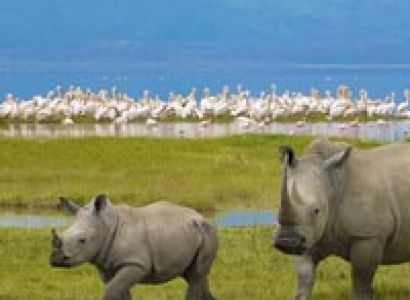 Tarangire/ Lake Manyara/ Ngorongoro Crater Tour