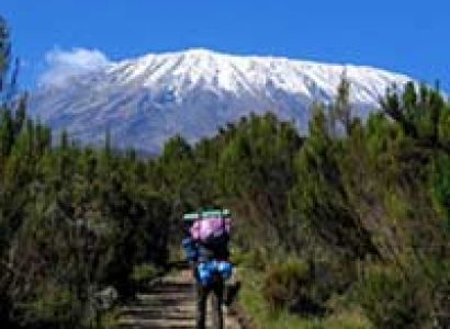 Trekking Mount Kilimanjaro Via Marangu Route Tour